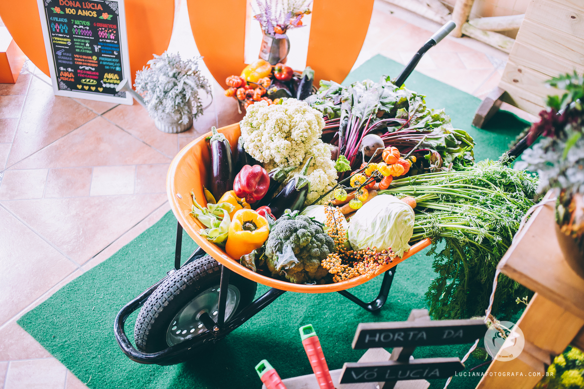 Aniversário 100 Anos com tema Horta