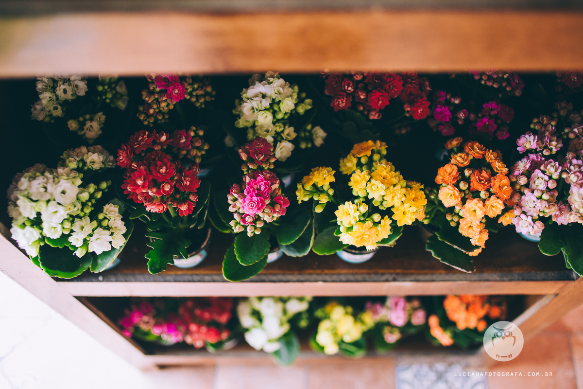 Aniversário 100 Anos com tema Horta