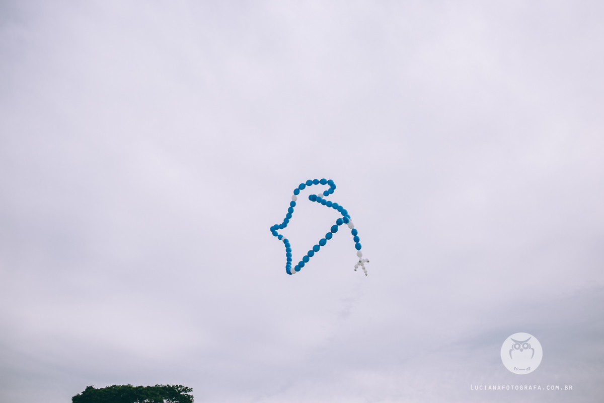 Aniversário 100 Anos com tema Horta