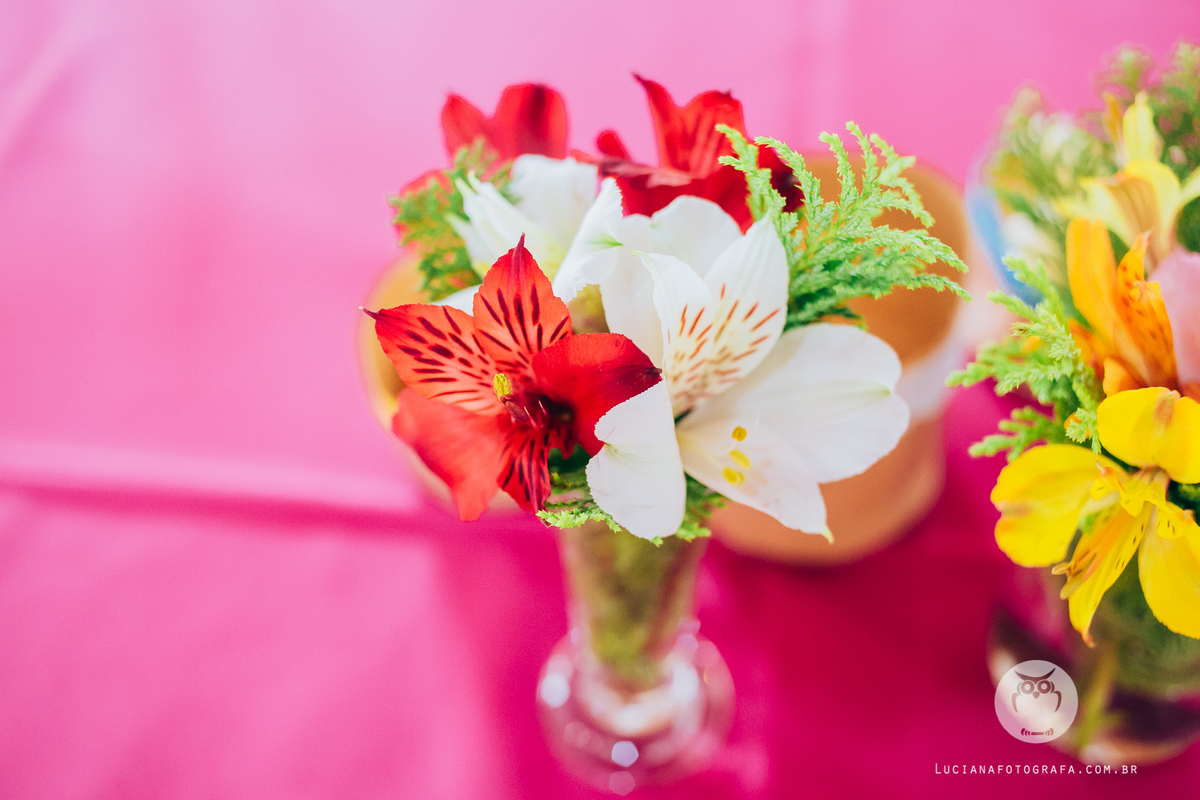 Ché de Bebê Gêmeas Martina e Olíva. Tema Frida Kahlo, Star Wars, Grandes Mulheres