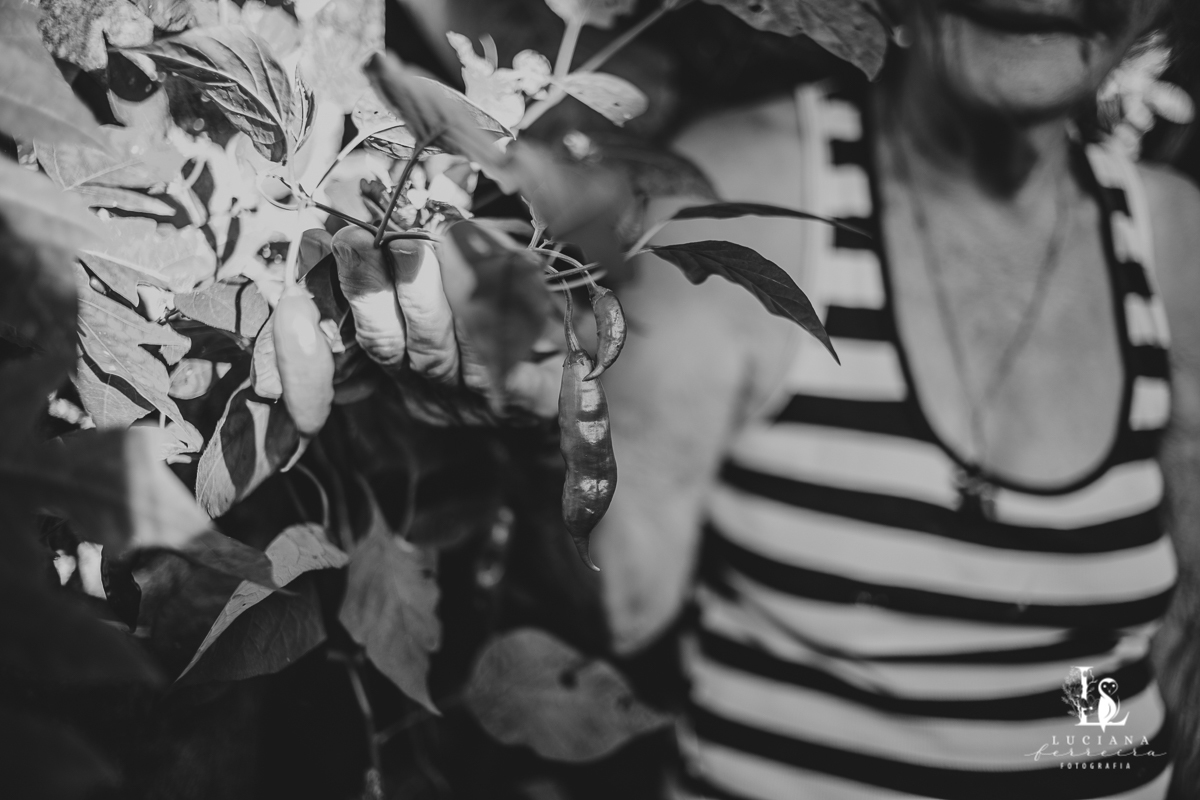 Ensaio Feminino. Mulher. Avó