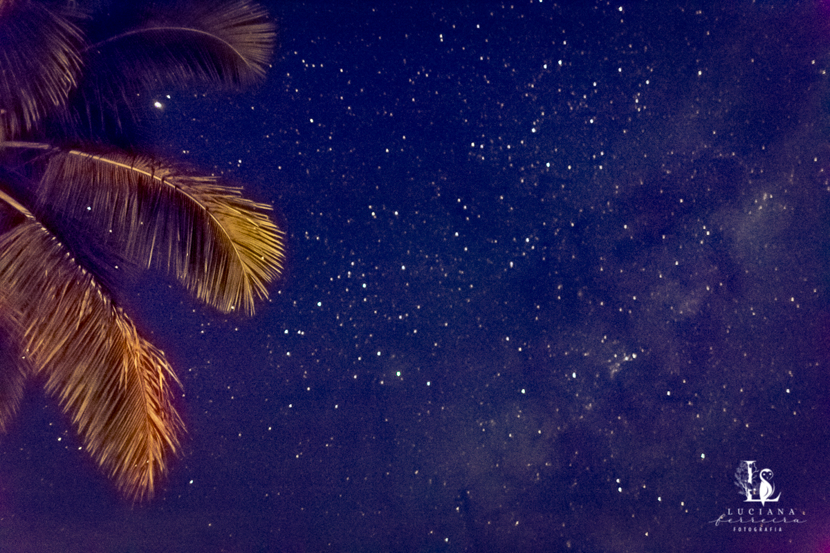 Casamento na praia. Saco do Mamanguá, Paraty. Casamento lindo de mulheres.