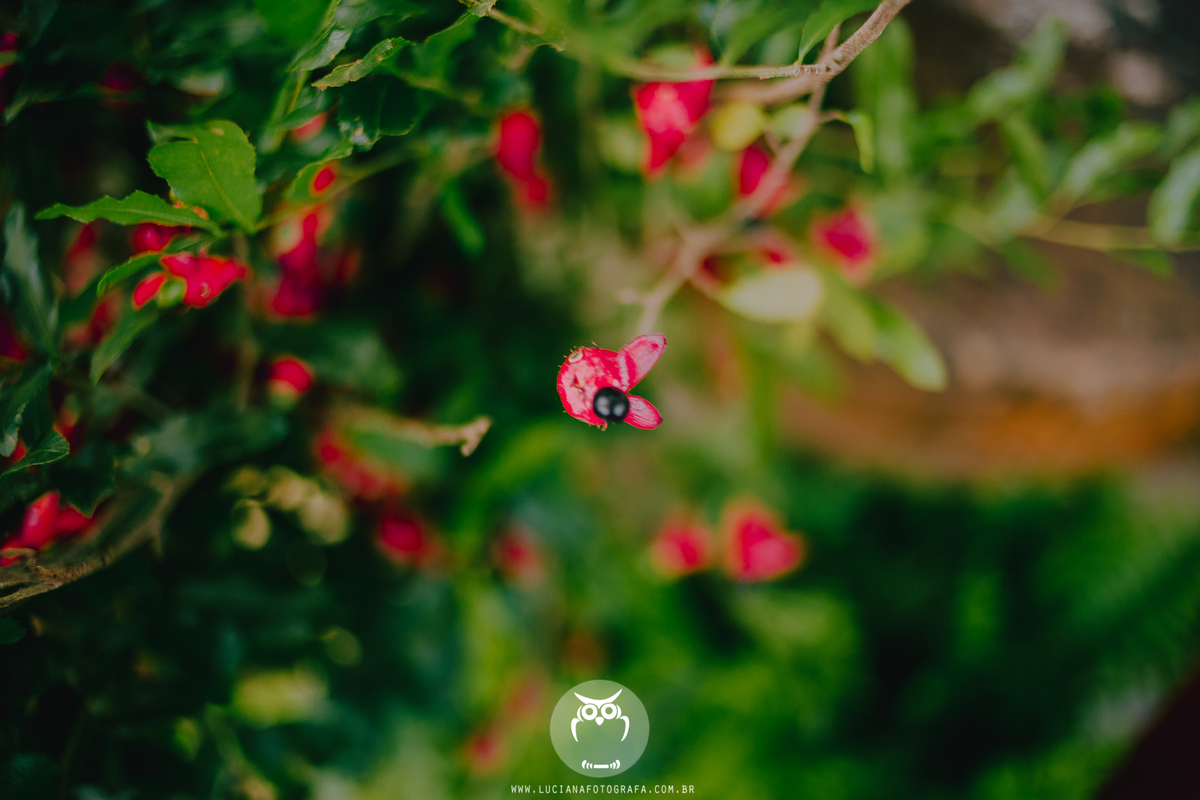 Casamento na praia. Casamento em Paraty. Casamento com lual em Paraty