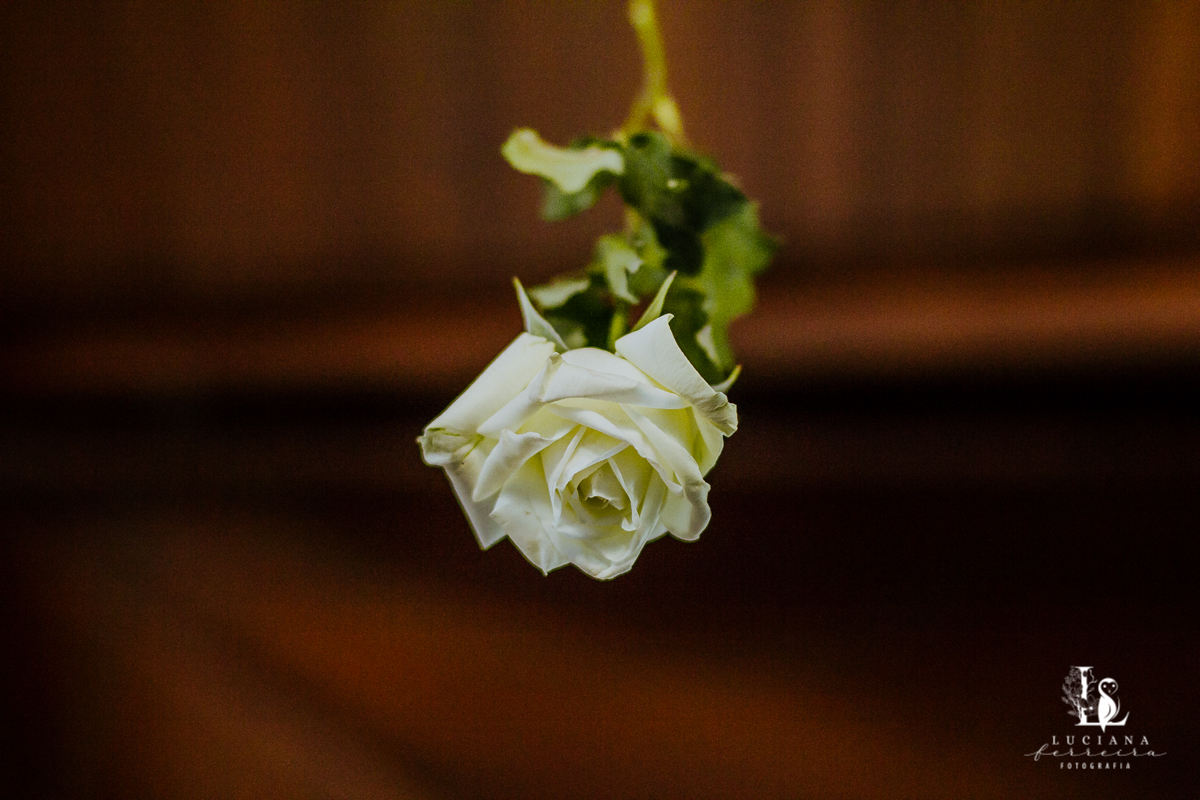 Casamento no campo. Casamento em São Roque. Casamento Lindo.