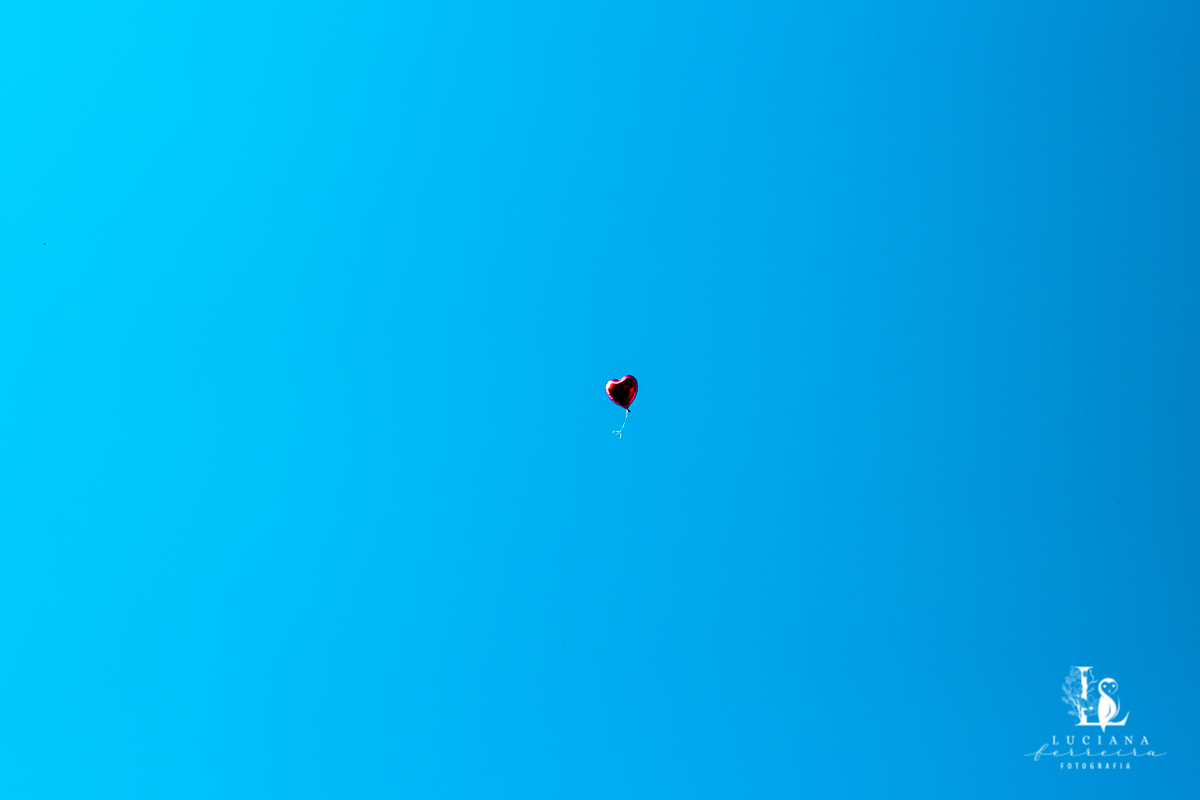 Casamento no campo. Casamento de dia. Casamento lindo.