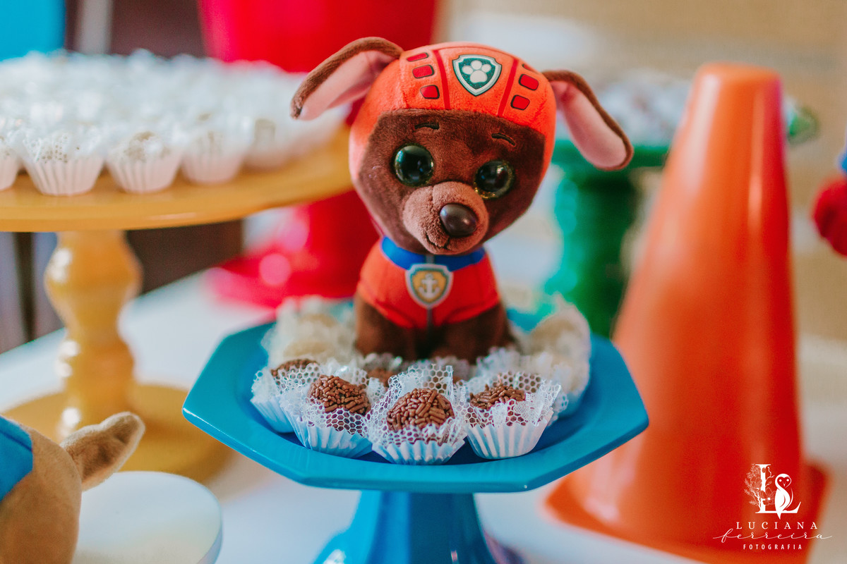 Aniversário de Menino. Tema Patrulha Canina