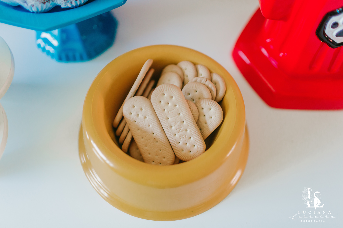 Aniversário de Menino. Tema Patrulha Canina
