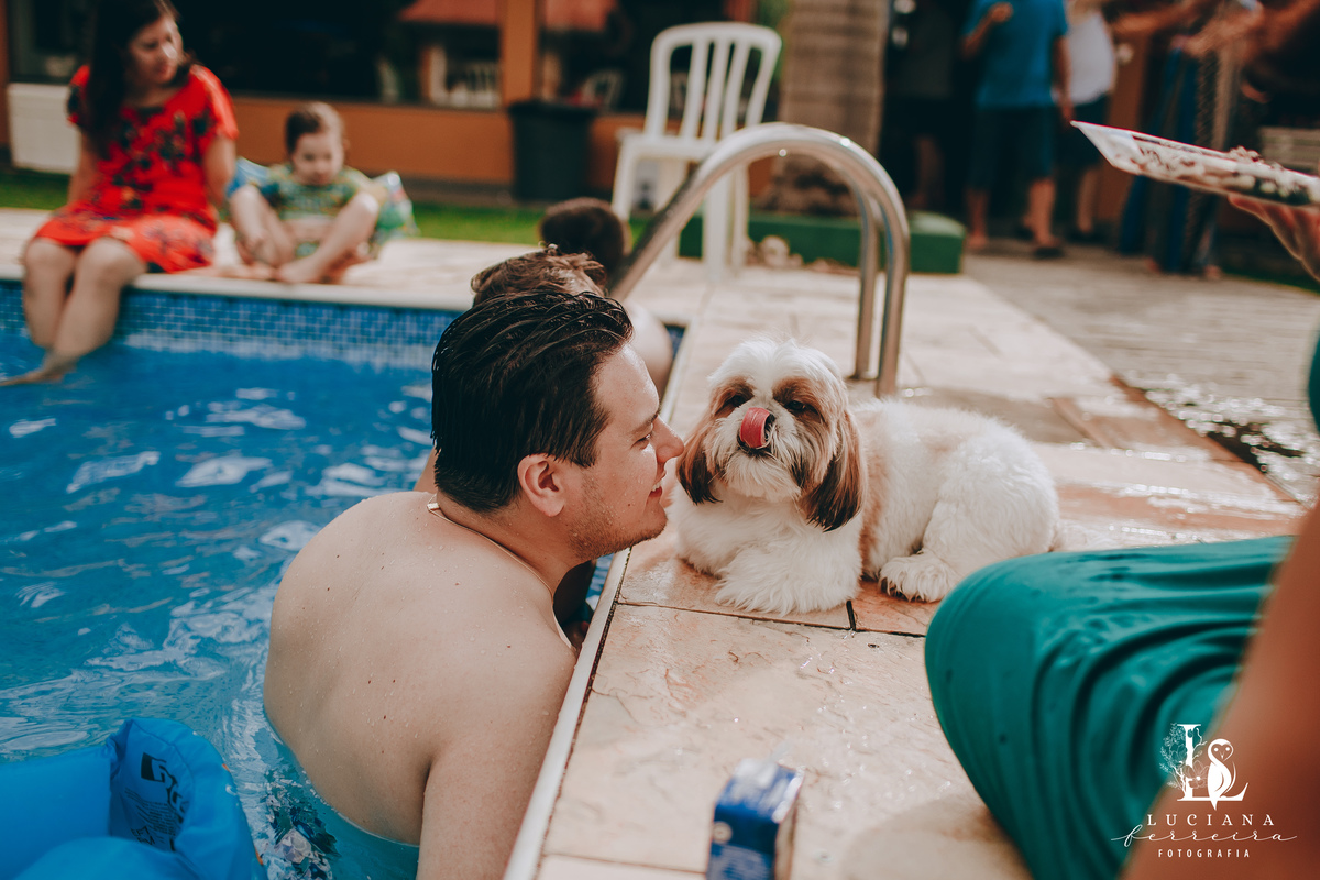 Cachorro na piscina