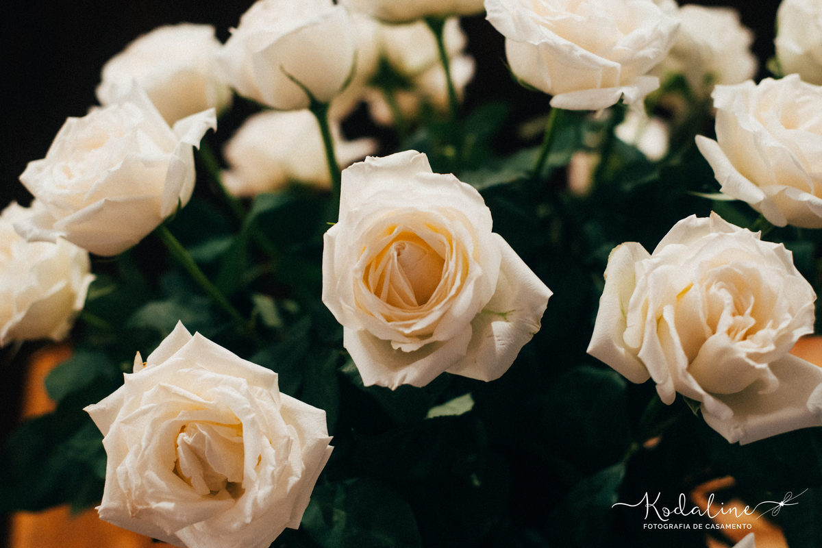 Rosas brancas em casamento