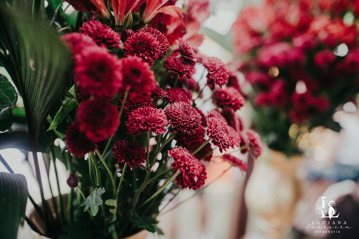 Aniversário Infantil Mundo do Bita