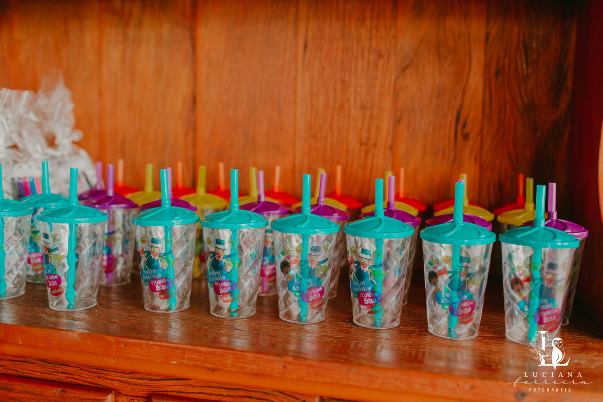 Aniversário Infantil Mundo do Bita