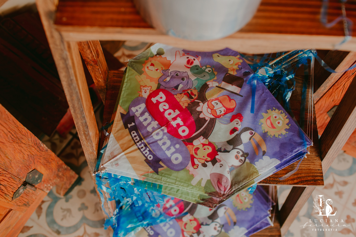 Aniversário Infantil Mundo do Bita