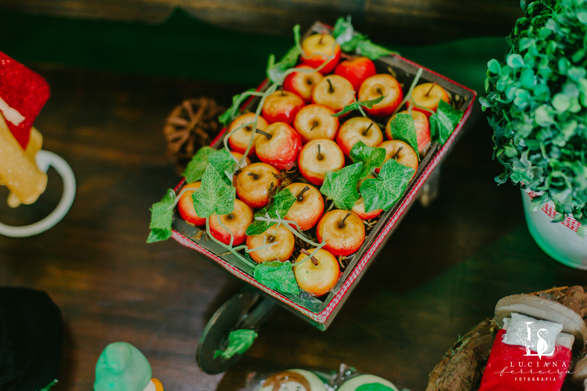 Aniversário Infantil com tema Branca de Neve no Buffet Bloop Zook, em Osasco