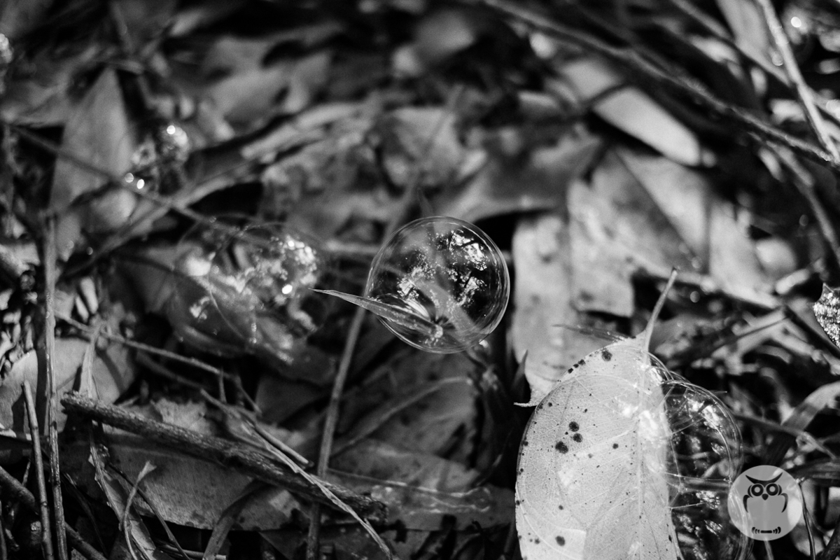 Smash the cake realizado na Brasital, na cidade de São Roque