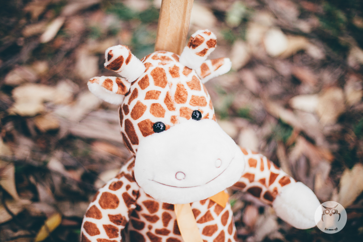 Smash the cake realizado na Brasital, na cidade de São Roque