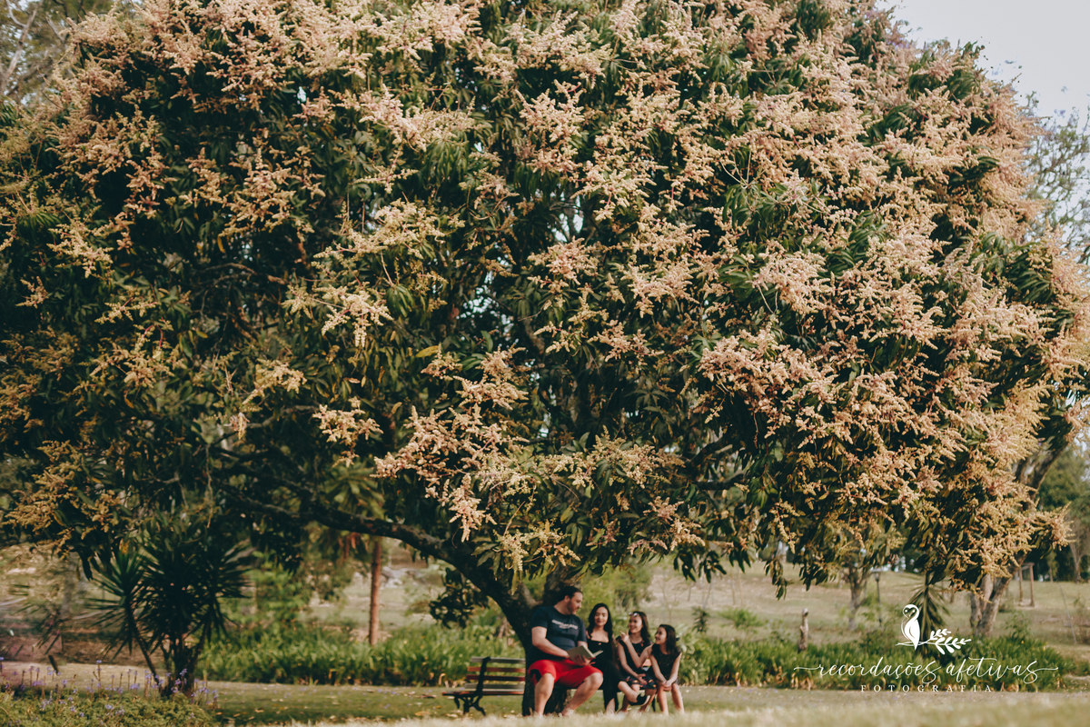Ensaio família realizado na Pousada Aldeia em São Roque, São Paulo