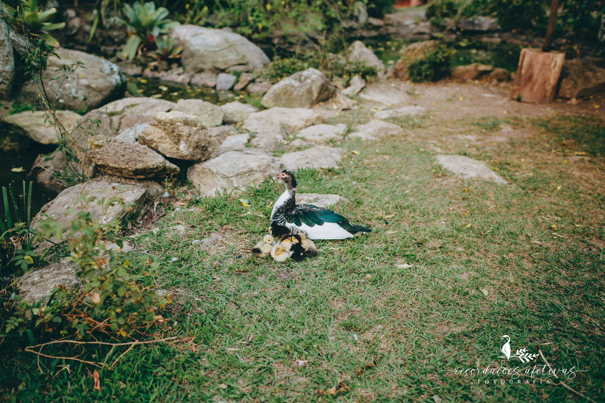 Ensaio família realizado na Pousada Aldeia em São Roque, São Paulo