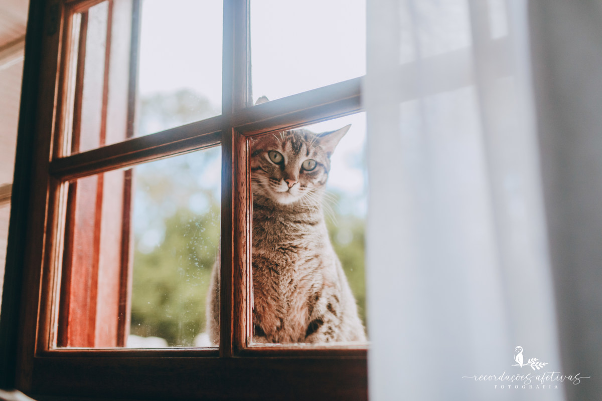 Ensaio família lifestyle. Ensaio recém-nascido estilo lifestyle 