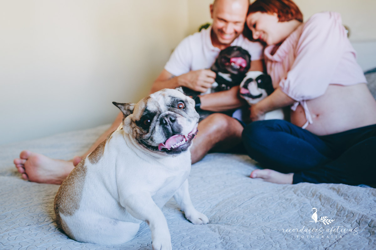 Ensaio gestante com pets, realizado em Sorocaba