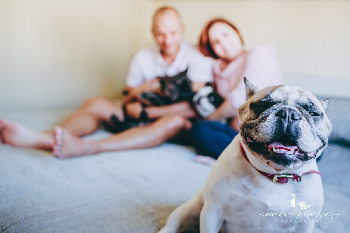 Ensaio gestante com pets, realizado em Sorocaba