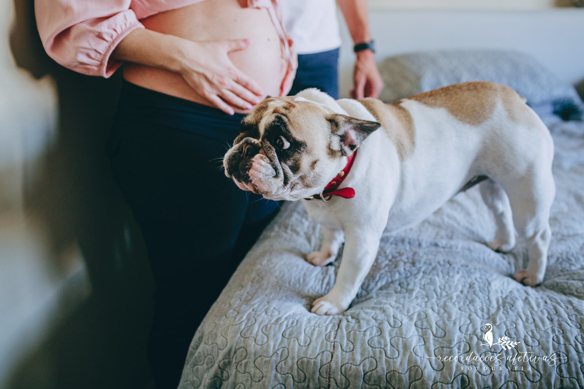 Ensaio gestante com pets, realizado em Sorocaba