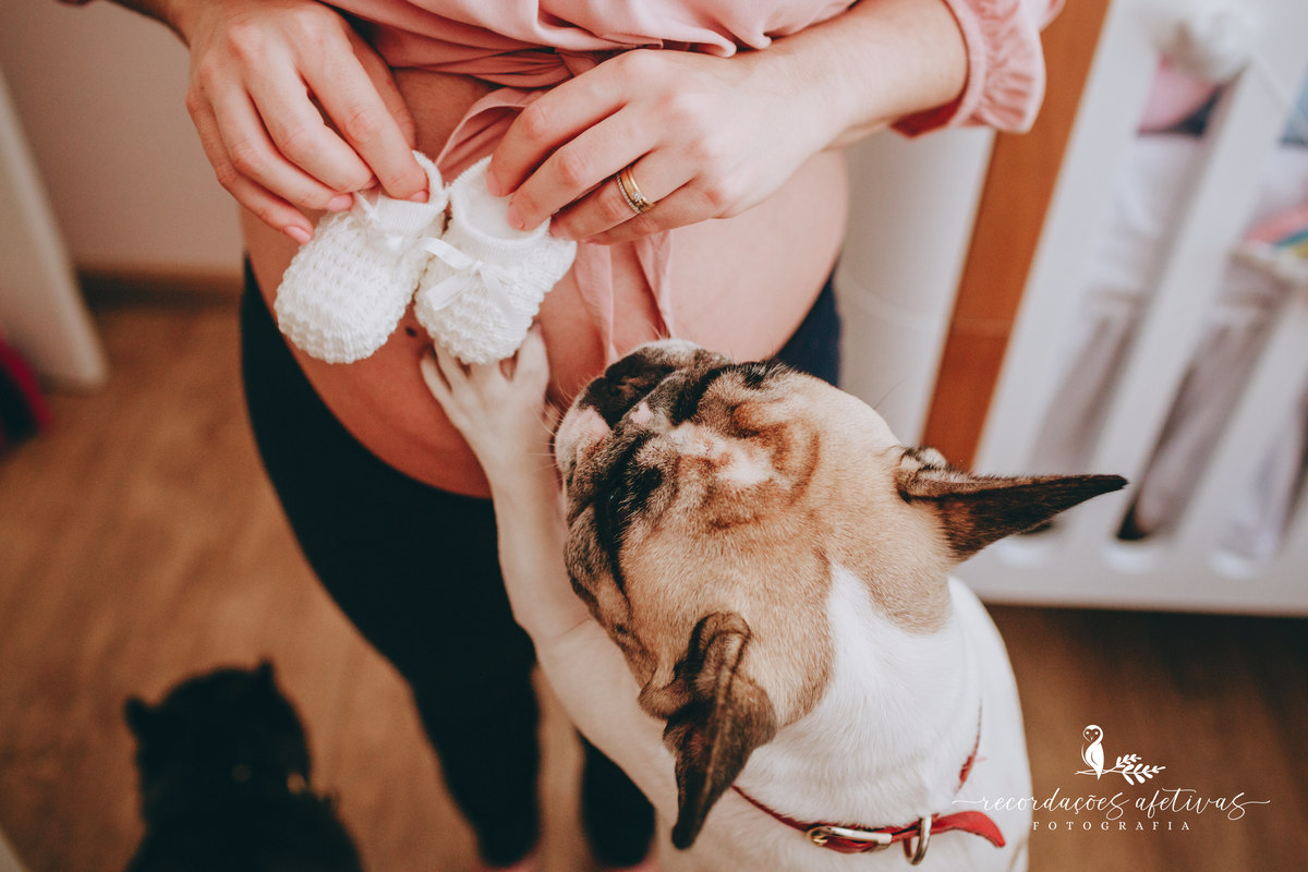 Ensaio gestante com pets, realizado em Sorocaba