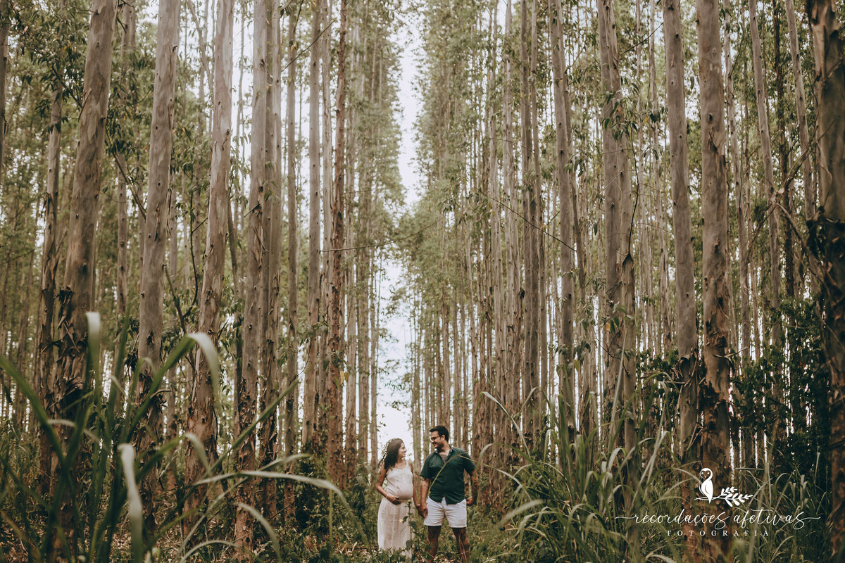Ensaio Gestante em Plantação de Eucaliptos em Sorocaba