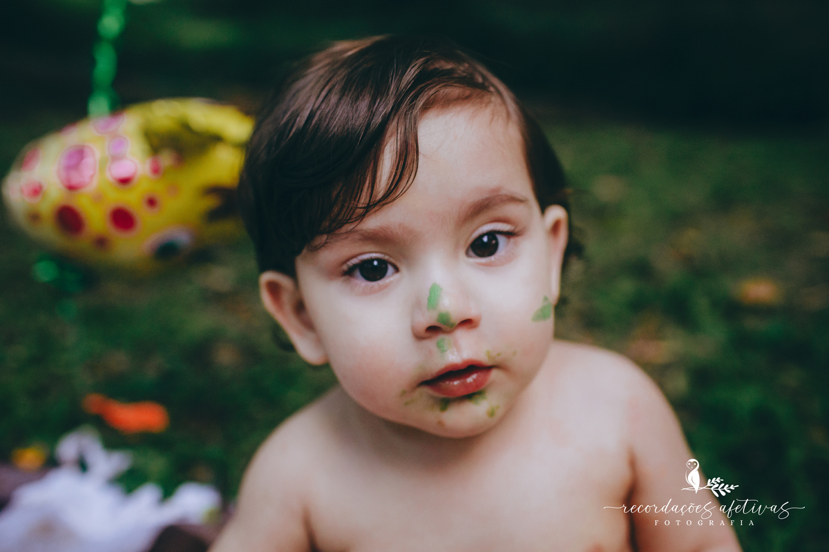 Smash the Cake com tema Safari realizado na Brasital em São Roque