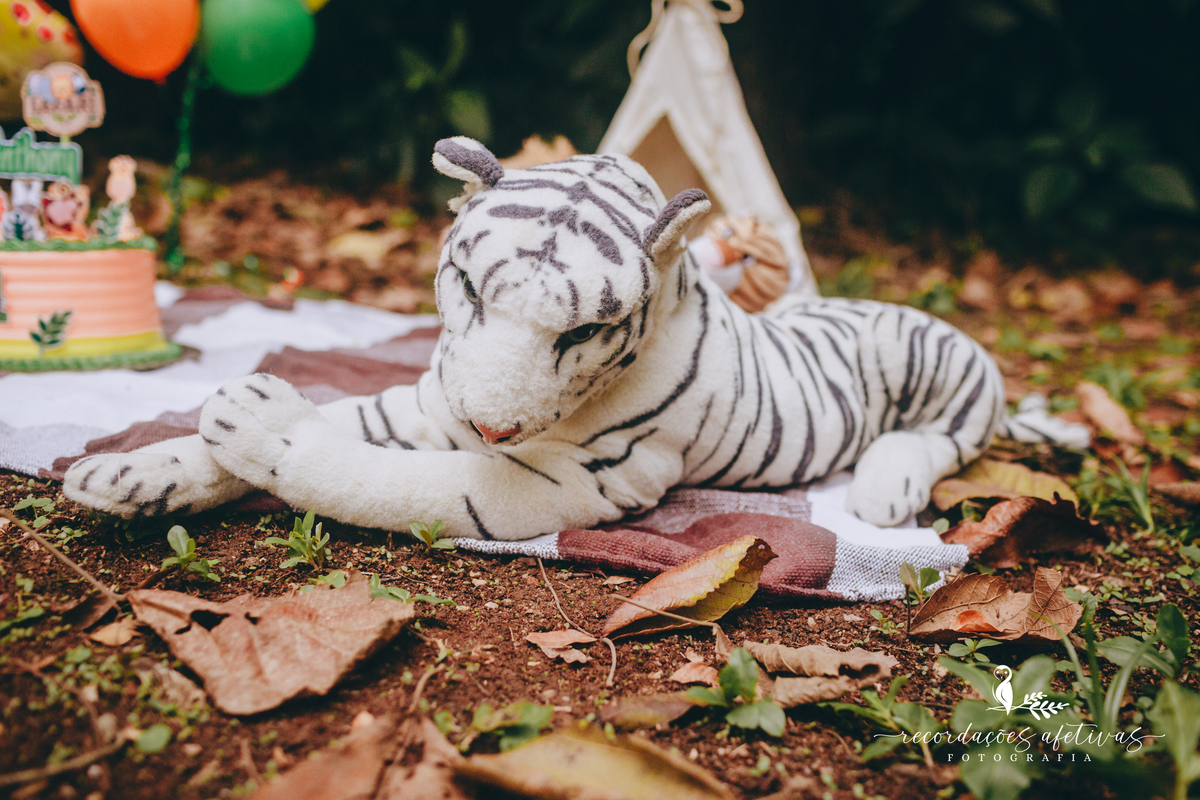 Smash the Cake com tema Safari realizado na Brasital em São Roque
