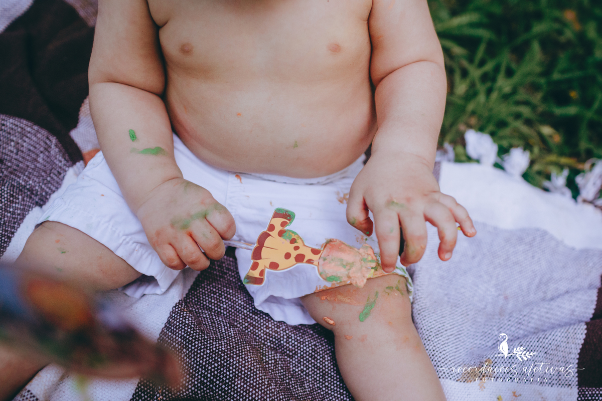 Smash the Cake com tema Safari realizado na Brasital em São Roque