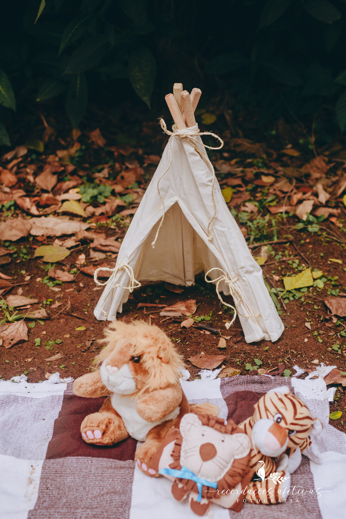 Smash the Cake com tema Safari realizado na Brasital em São Roque