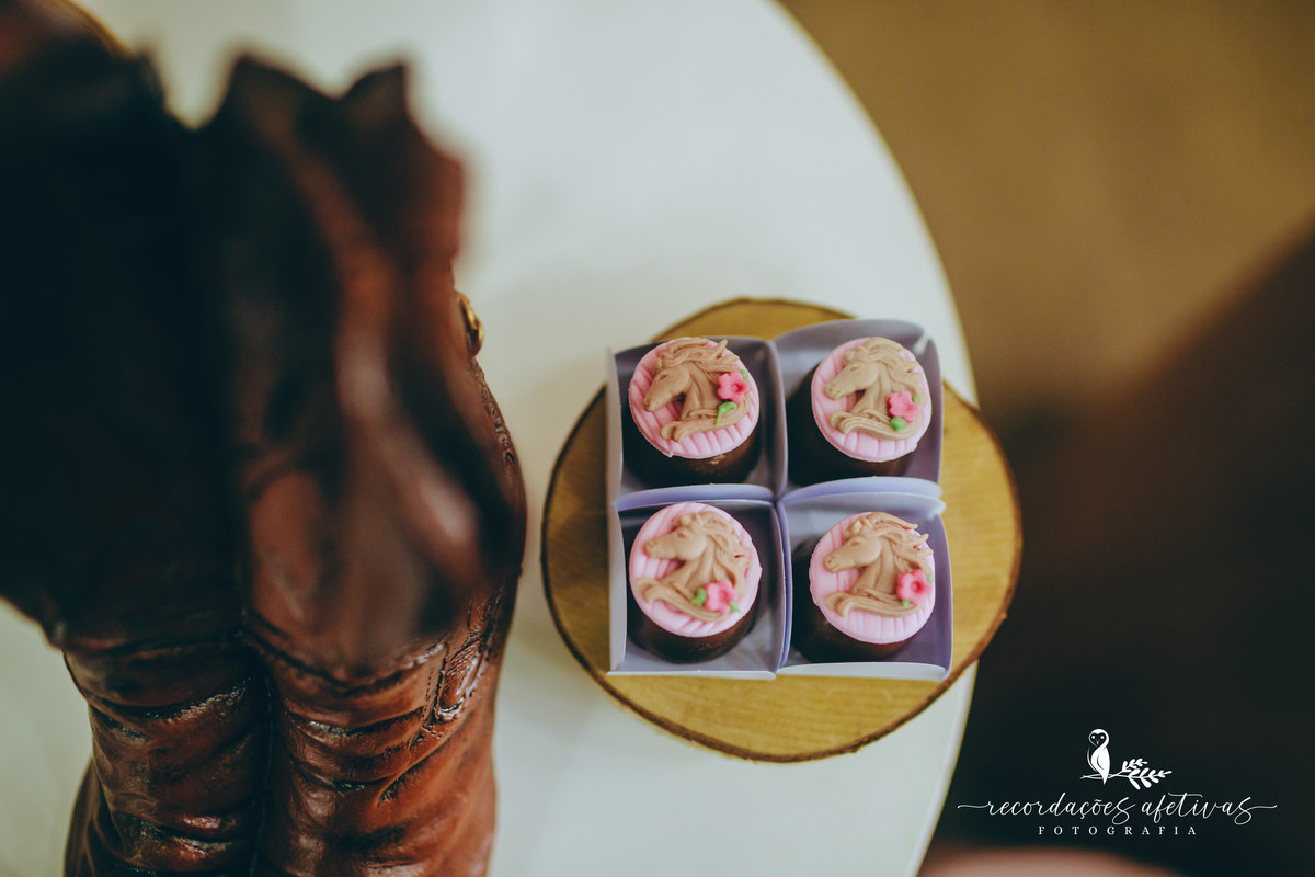Aniversário Infantil com Tema Cavalo no Buffet Anauê em Tatuí