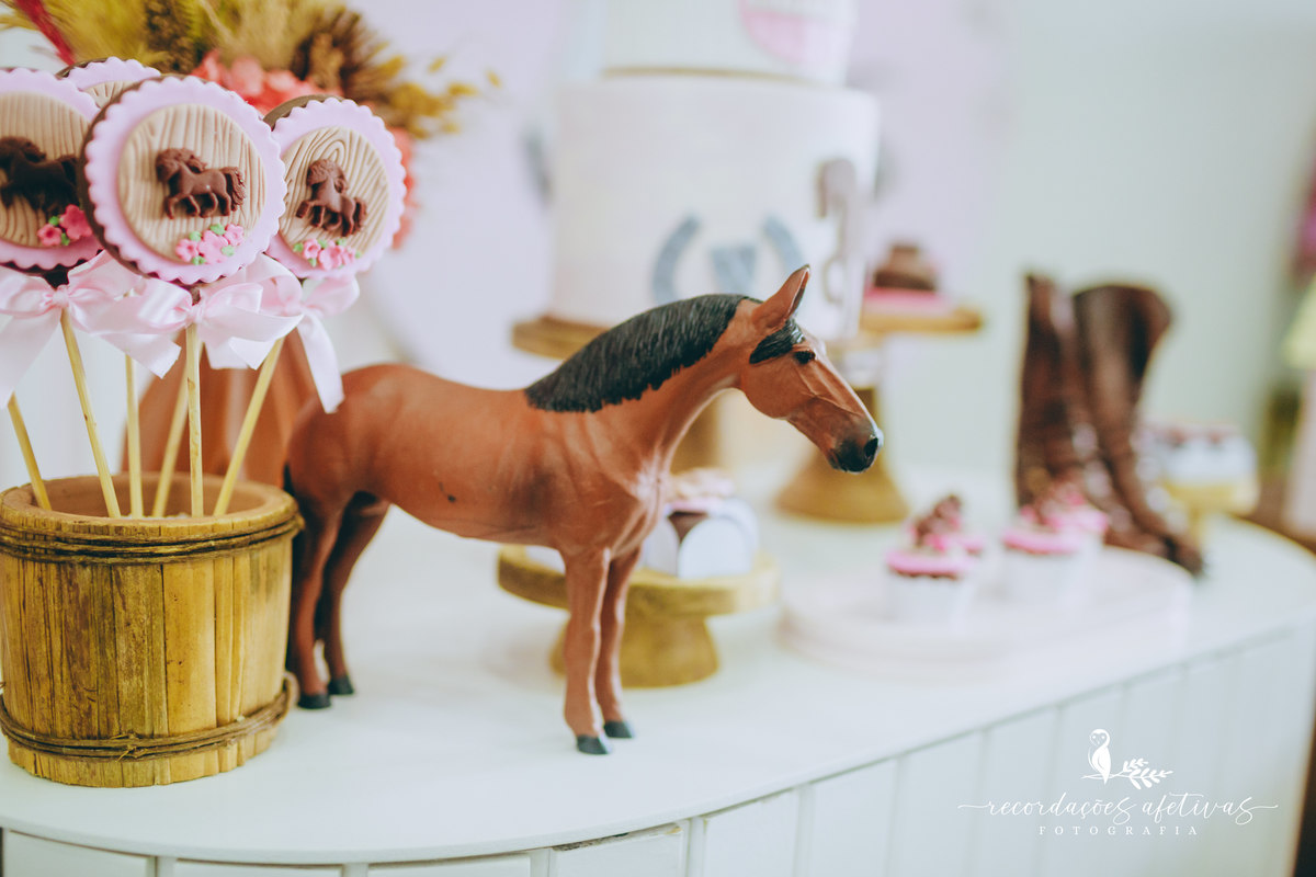 Aniversário Infantil com Tema Cavalo no Buffet Anauê em Tatuí