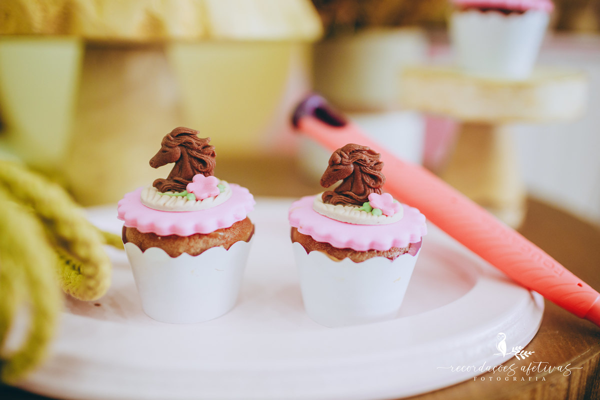 Aniversário Infantil com Tema Cavalo no Buffet Anauê em Tatuí