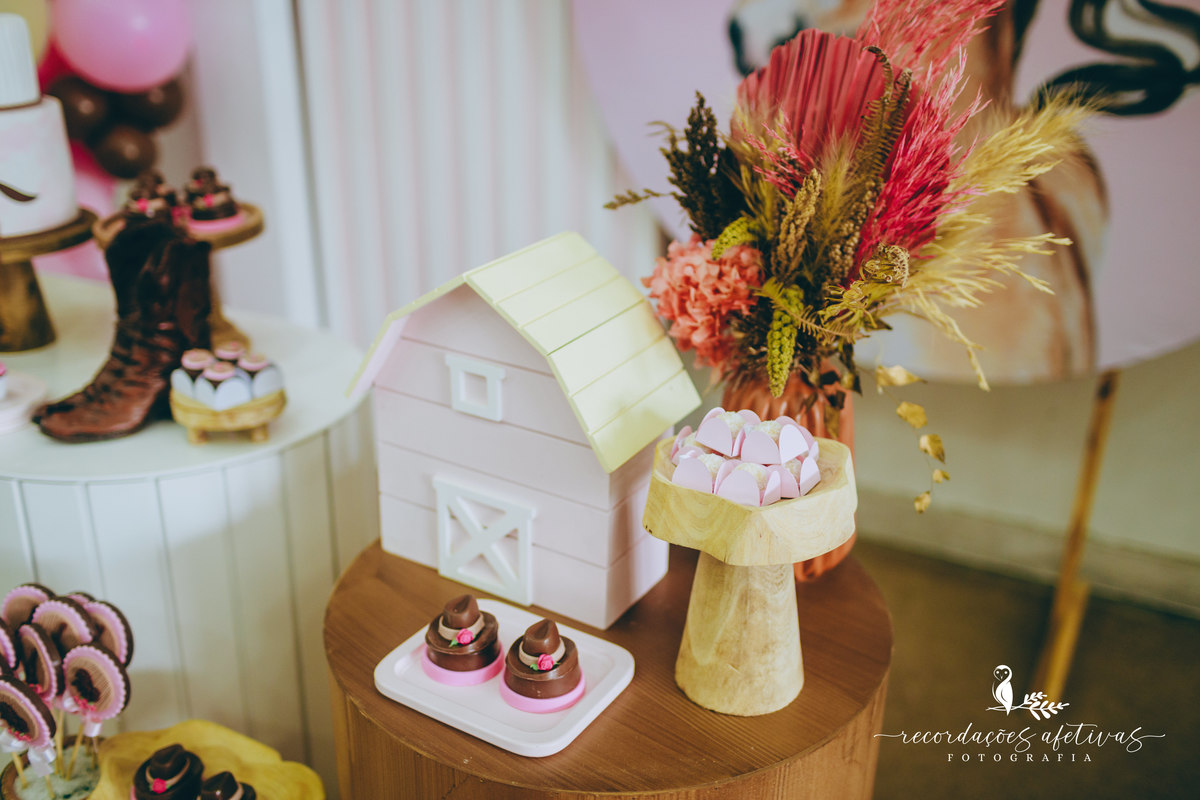 Aniversário Infantil com Tema Cavalo no Buffet Anauê em Tatuí