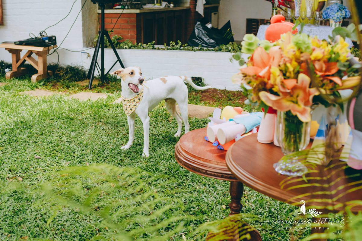 Aniversário Infantil Mundo Bita em Ibiúna
