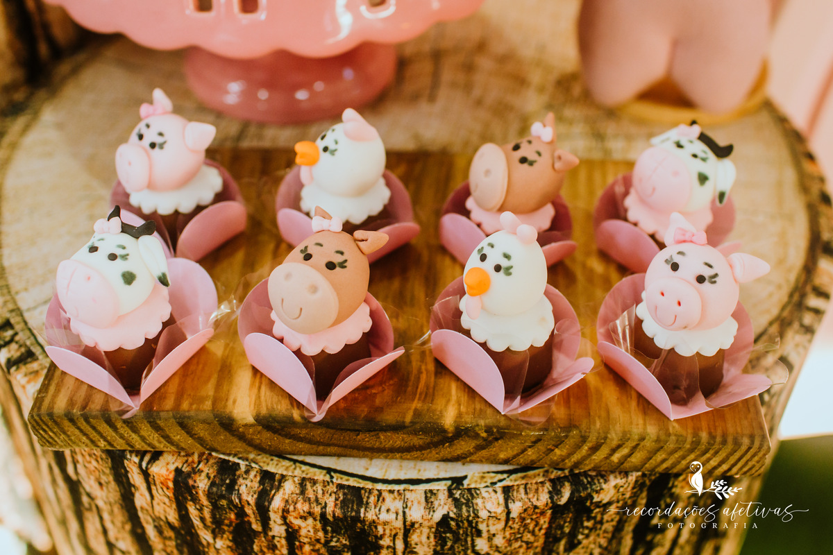Aniversário Infantil com Tema Fazendinha realizado no Buffet Festar em São Roque