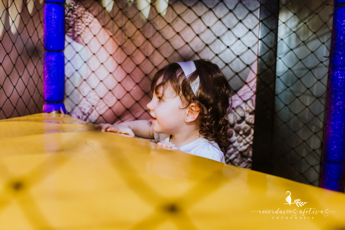 Aniversário Infantil com Tema Fazendinha realizado no Buffet Festar em São Roque