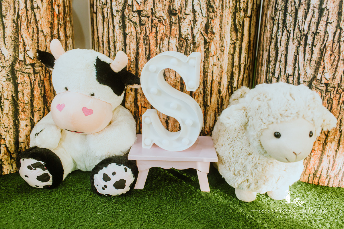 Aniversário Infantil com Tema Fazendinha realizado no Buffet Festar em São Roque