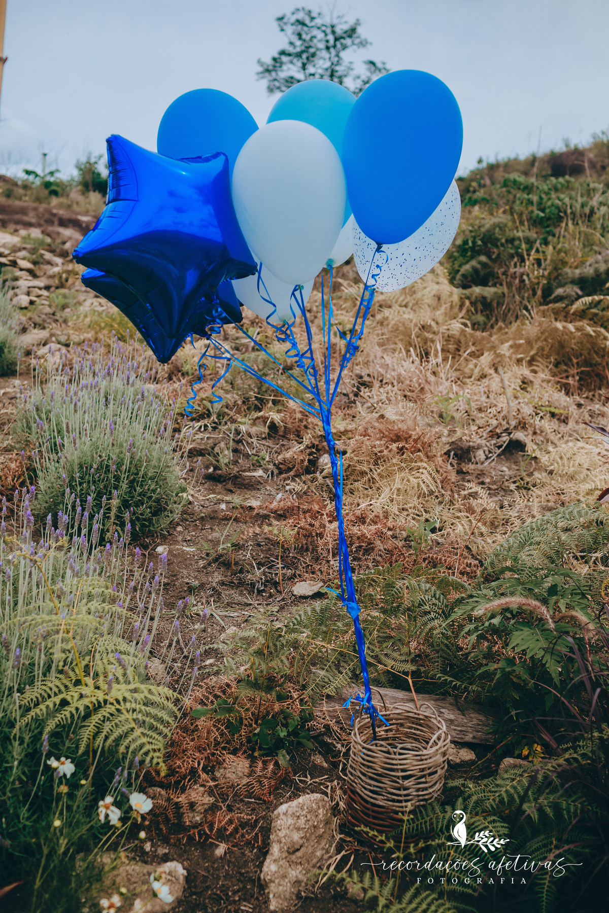 Ensaio Revelação Realizado no Sítio das Borboletas, em Piedade