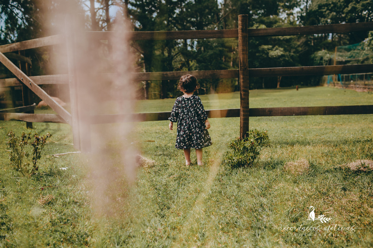 Ensaio Revelação Realizado no Sítio das Borboletas, em Piedade