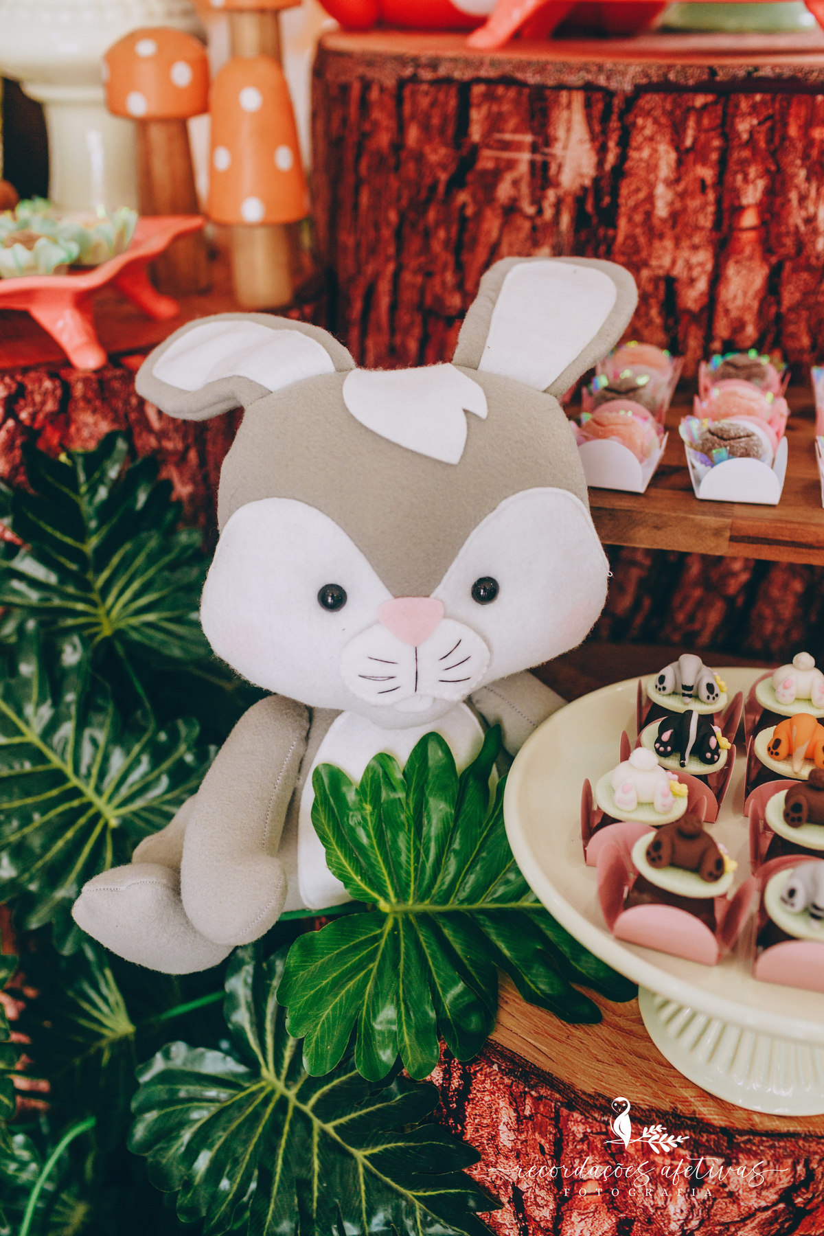 Aniversário-Infantil-Menina-Tema-Floresta-Cidade-Itu