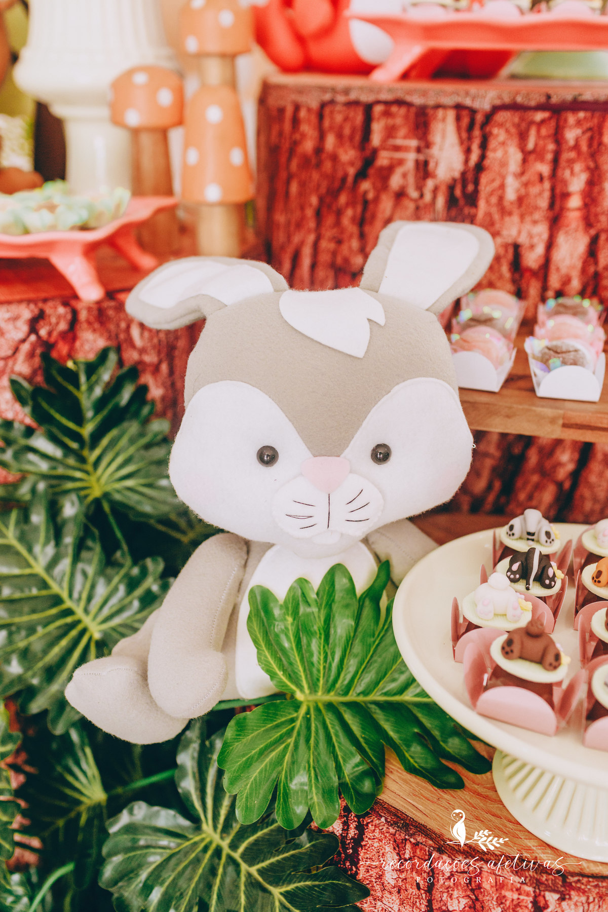 Aniversário-Infantil-Menina-Tema-Floresta-Cidade-Itu