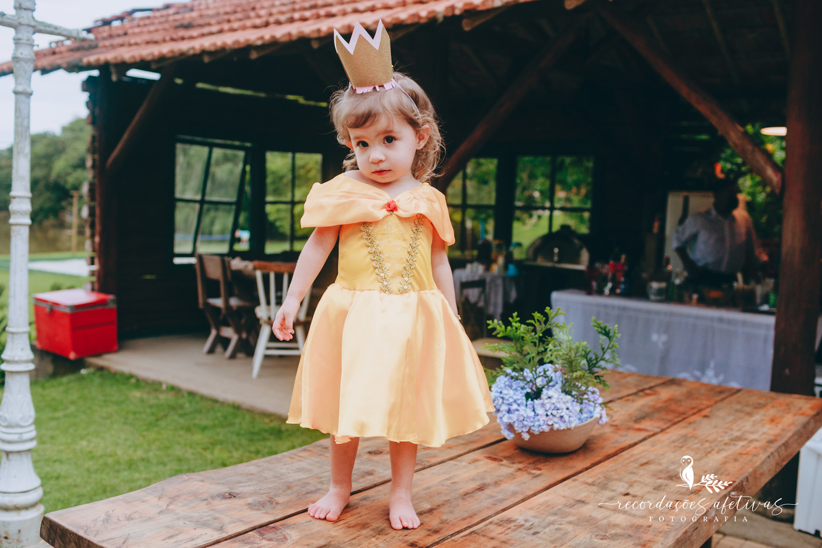 Aniversário Infantil Menina com Tema Princesas na Cidade de Mairinque