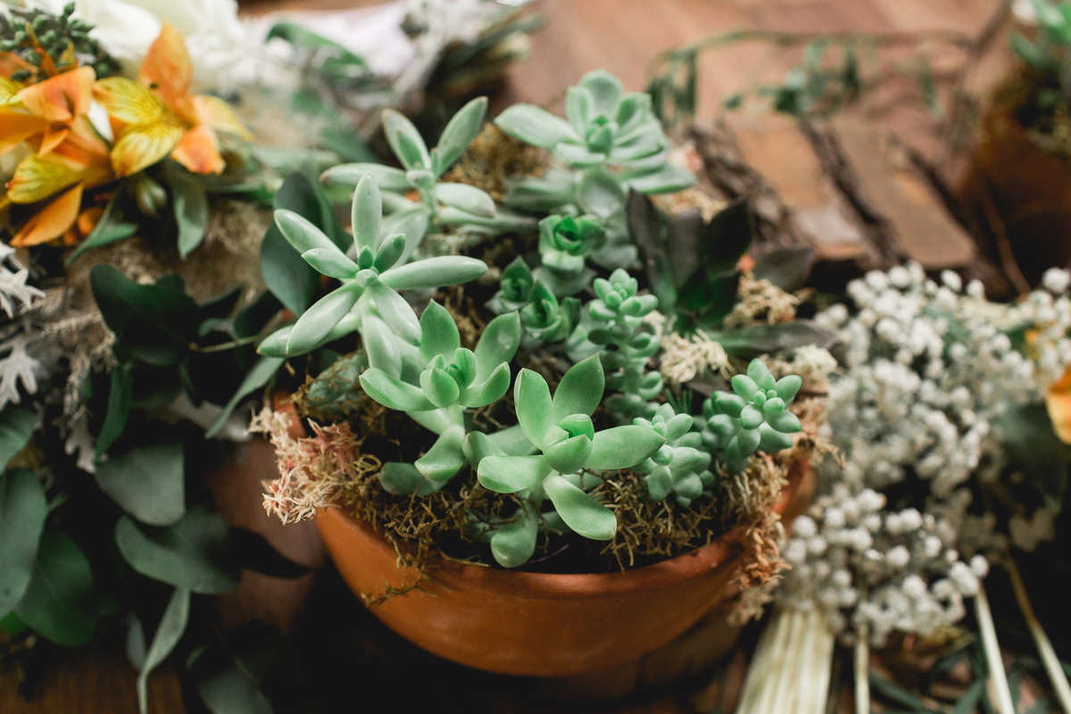 Casamento-no-Campo-Estilo-Boho-Espaço-Alecrim-Jundiaí