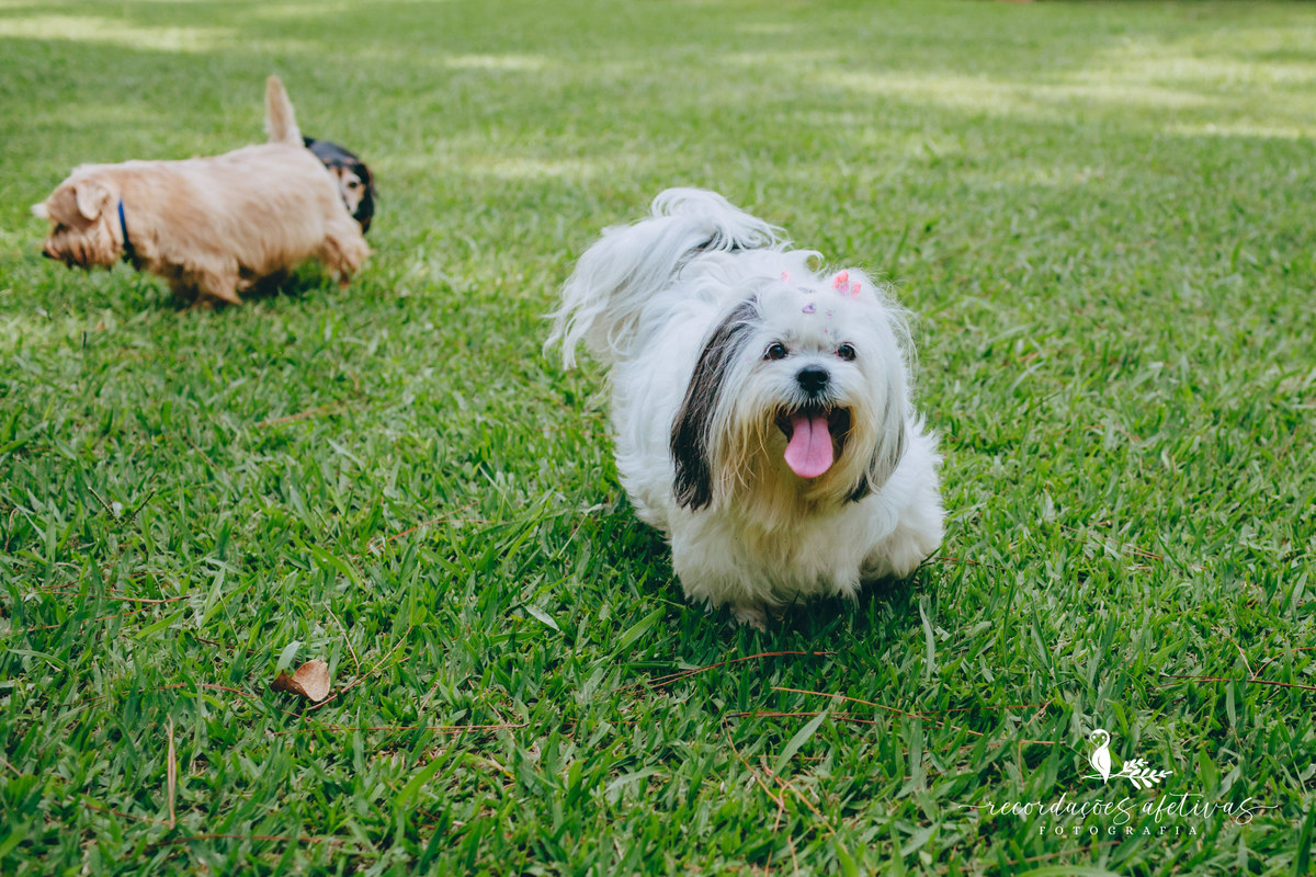Aniversário Espaço Vila Lara São Roque