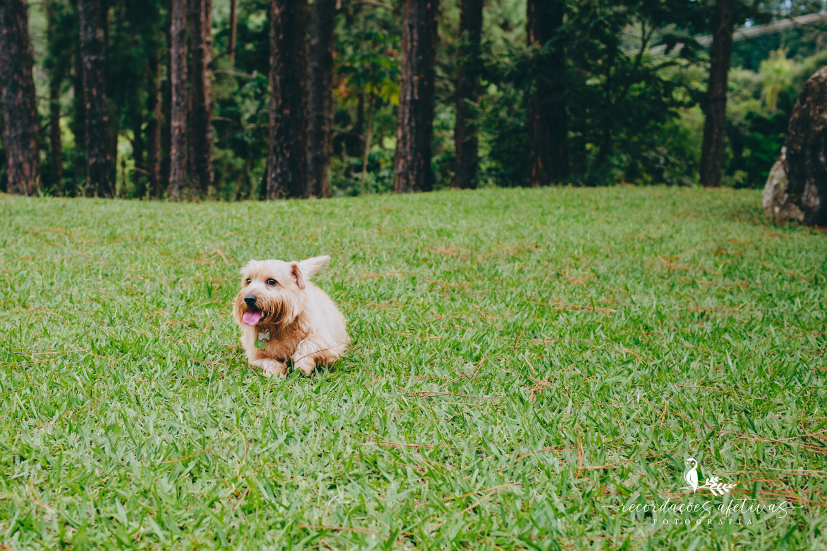 Aniversário Espaço Vila Lara São Roque