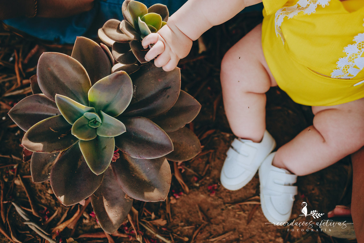 Ensaio-Família-São-Roque