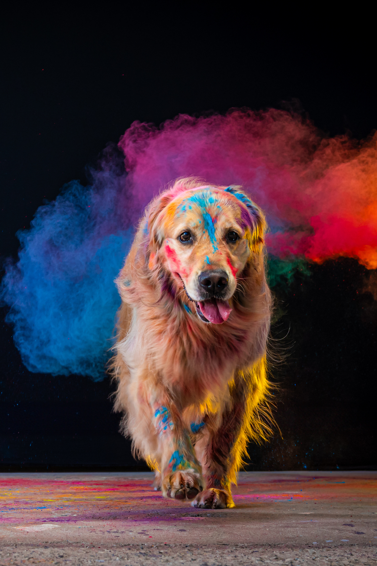 Ensaio de pets com cores