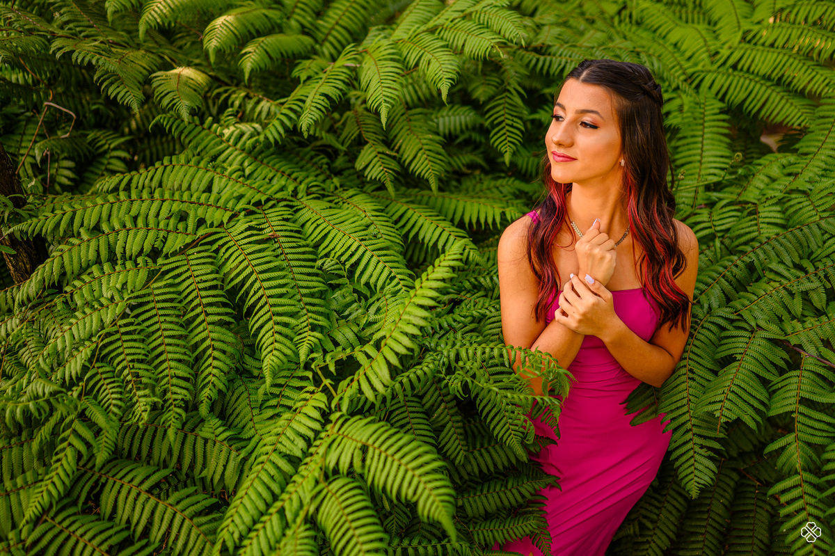 Ensaio de 15 anos em Santa Maria do Herval